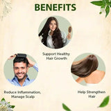 Jamalgota Ayurvedic Hair Growth Powder 100gm Each Pack of 2