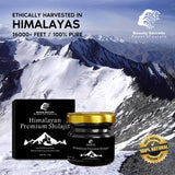 🌿 Ancient Himalayan Secret for Modern Energy & Health